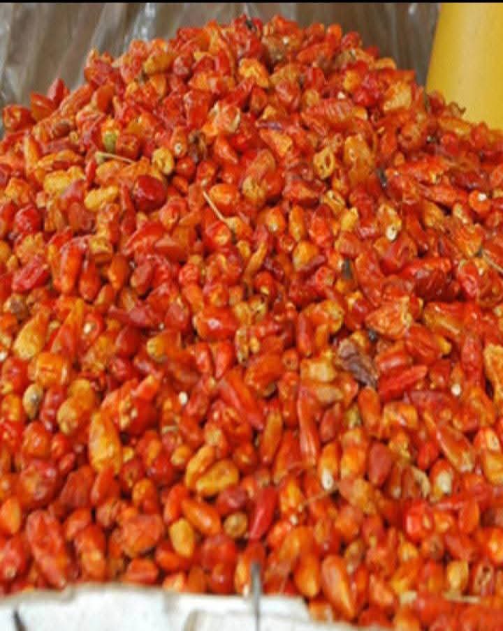 Fresh / Dried Ata Rodo (Scotch Bonnet)