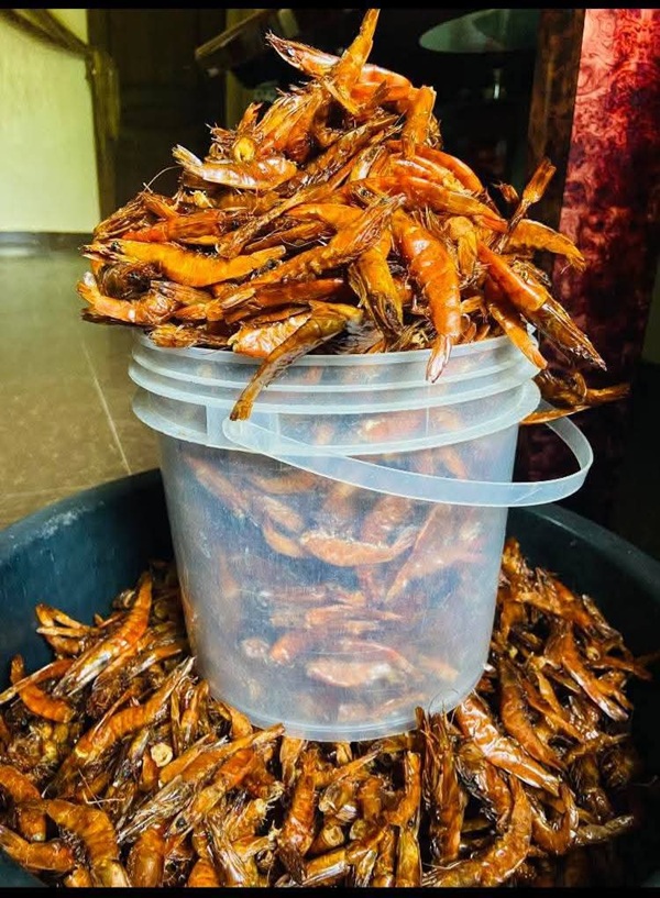 Dried Giant Shrimps