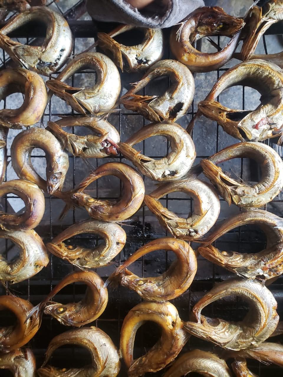 Smoked Panla Fish (Hake)