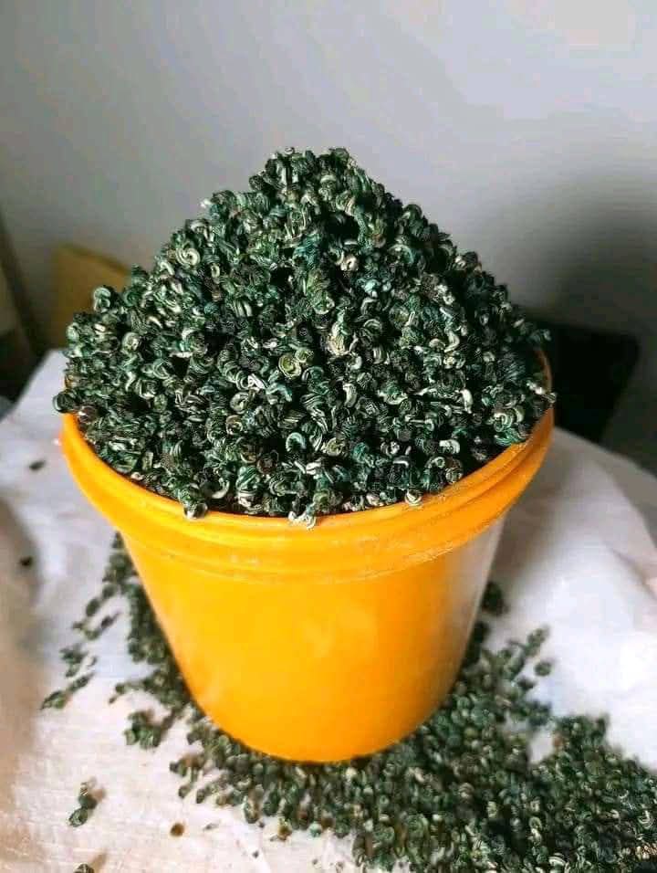Cleaned Periwinkles (De-shelled)