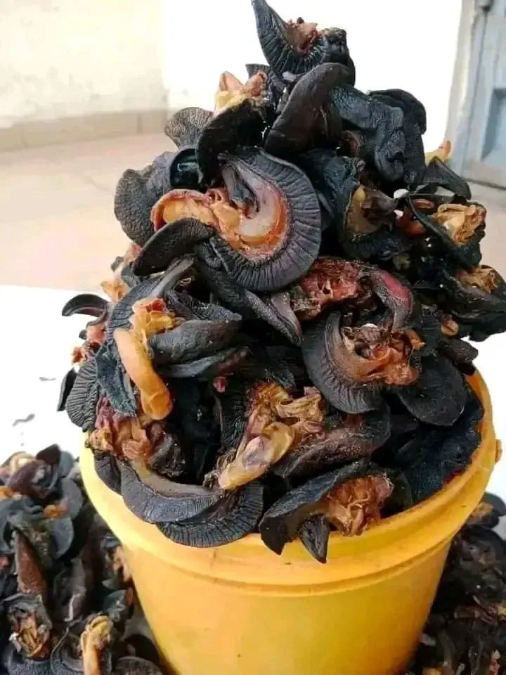 Smoked Giant Snails